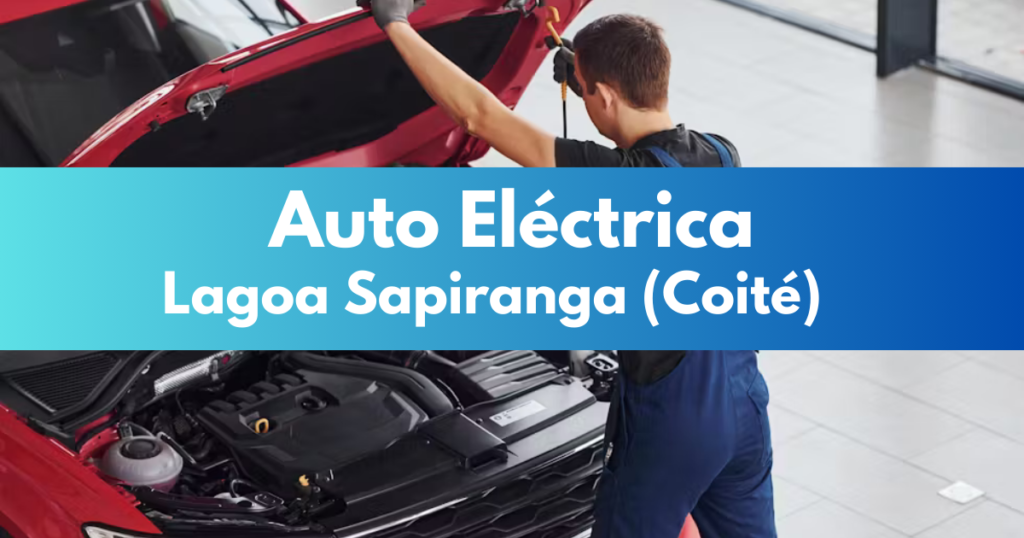 Auto Elétrica em Lagoa Sapiranga