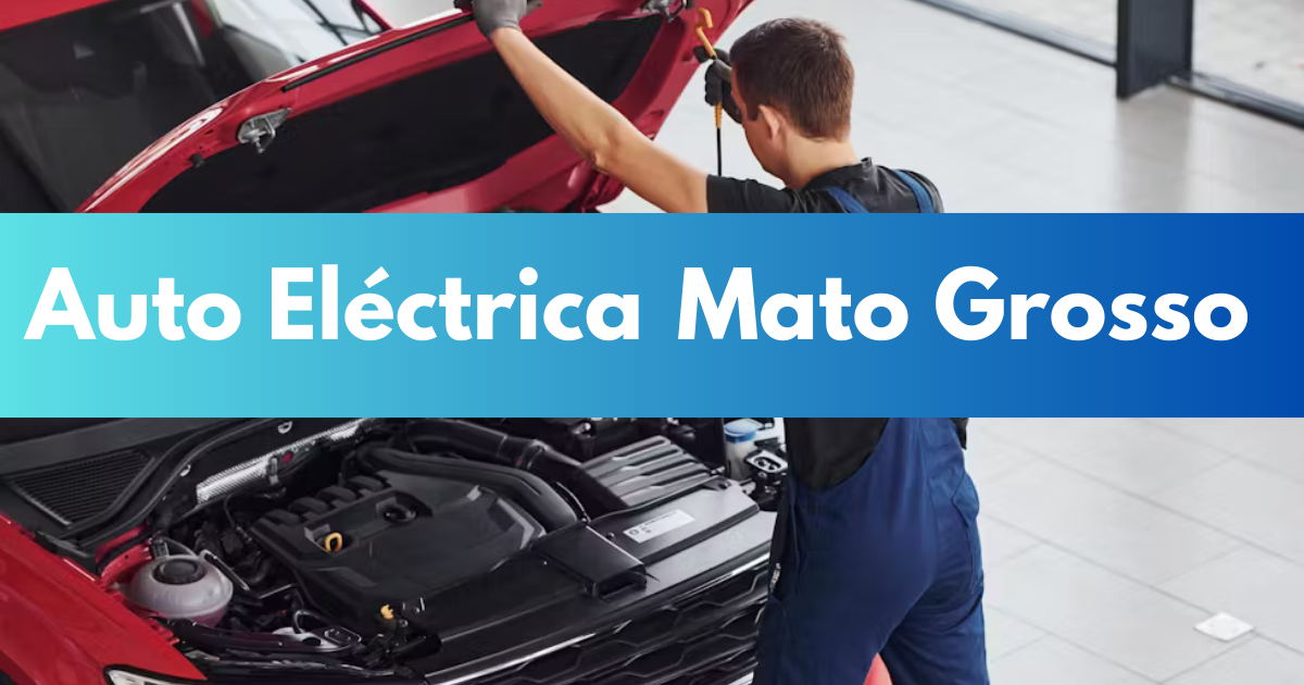 Auto Eletrica Mato Grosso