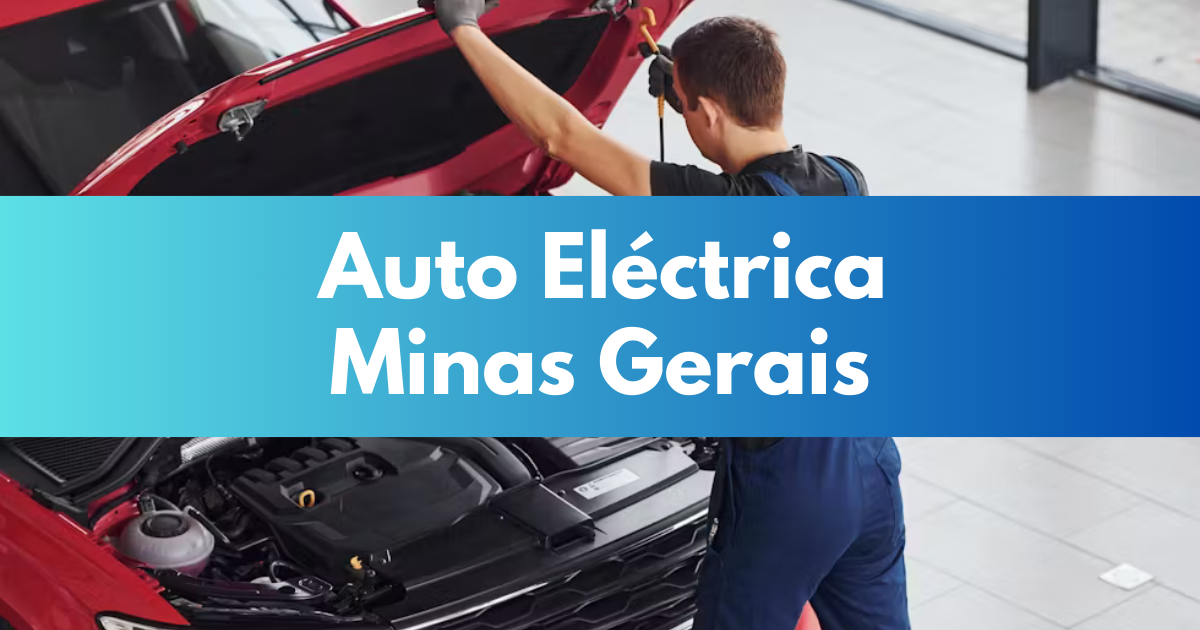 Auto Eletrica Minas Gerais